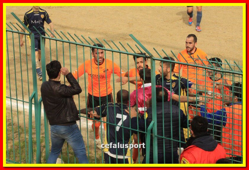 150321 stefanese 123_tn.jpg